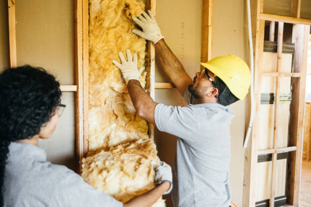 Best Attic Insulation Installation  in Cana, VA