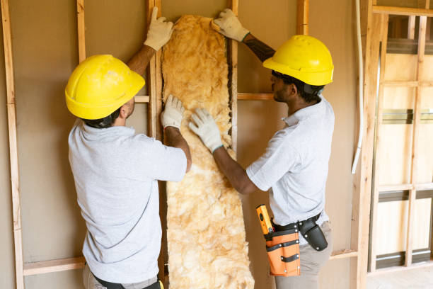 Best Fiberglass Insulation  in Cana, VA
